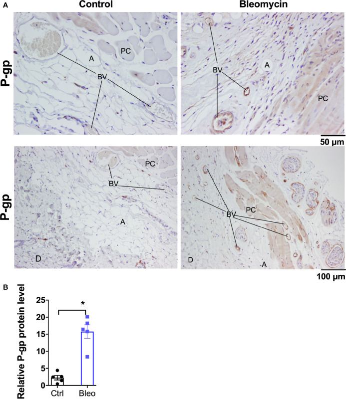 Figure 2