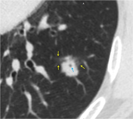 Supplementary Figure 3