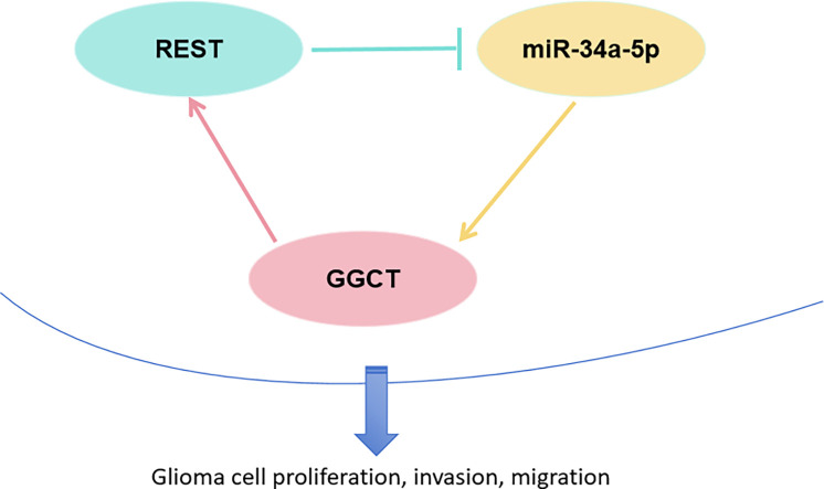 Image, graphical abstract