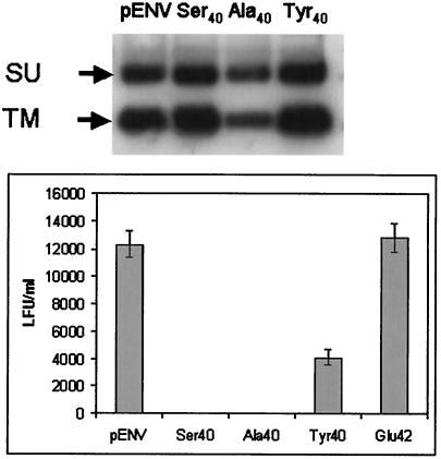 FIG. 5.