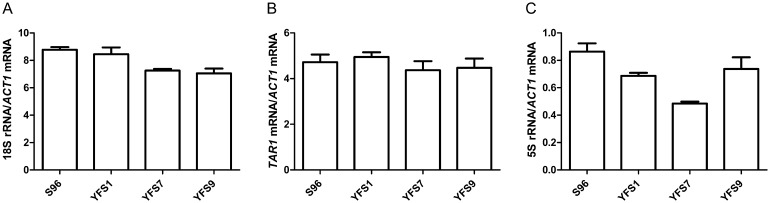 Figure 6.