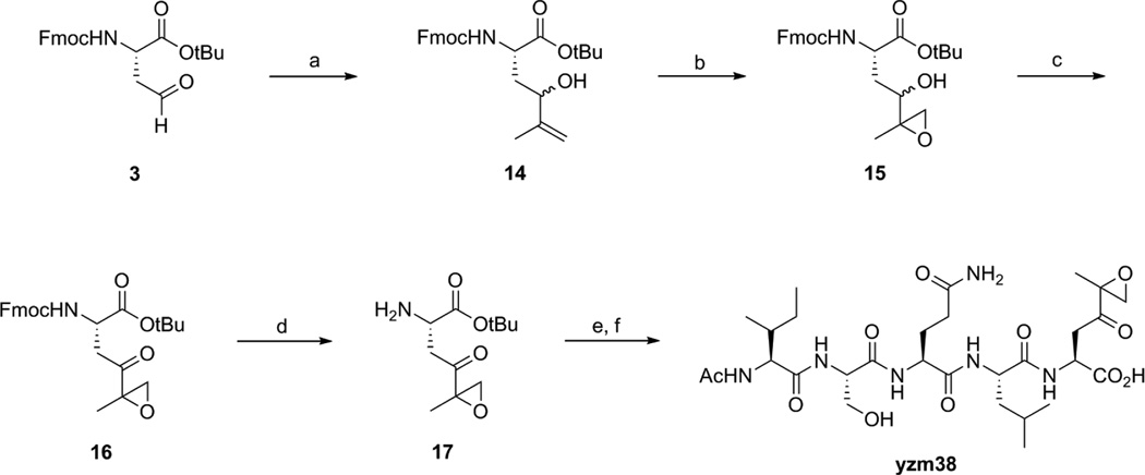 Scheme 4