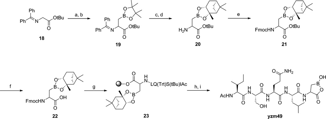 Scheme 5