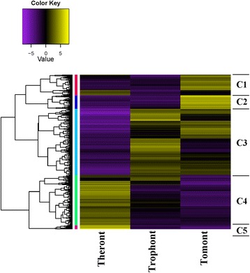 Fig. 4