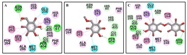 Figure 4