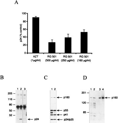 FIG. 6