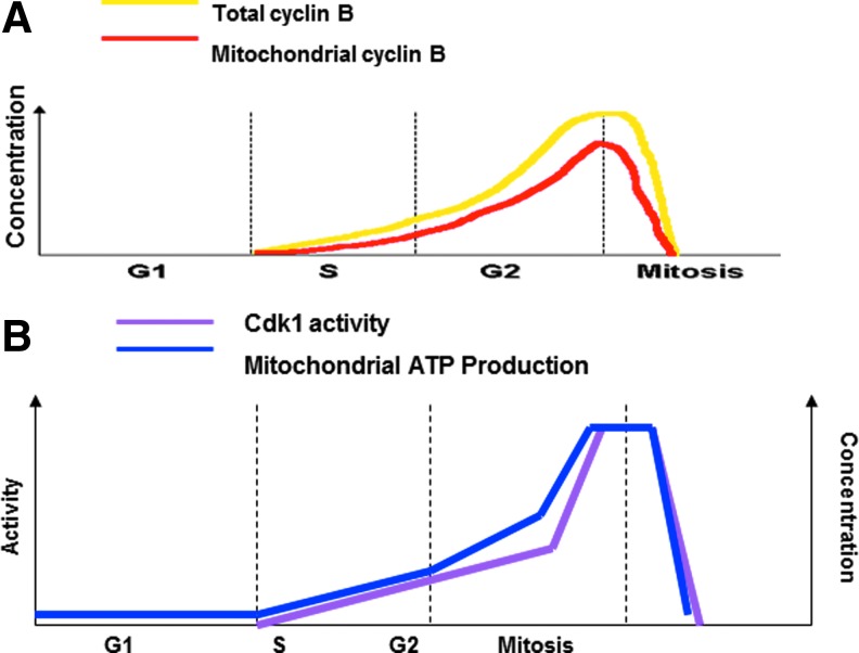 FIG. 4.