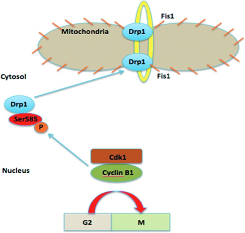 FIG. 7.