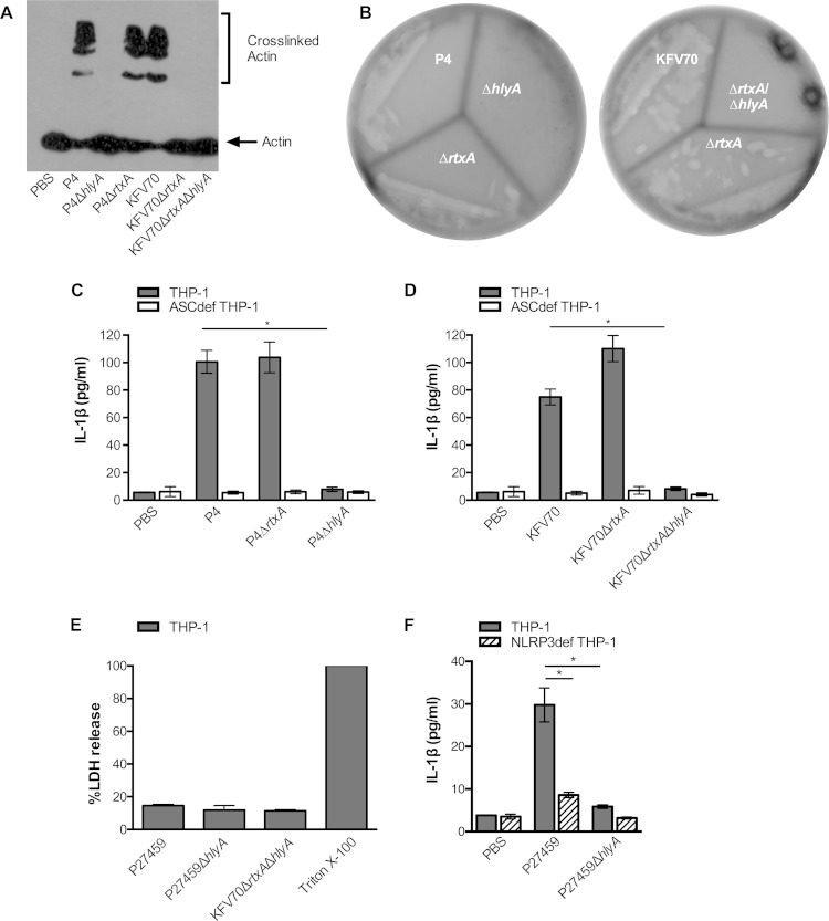 FIG 2