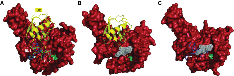 Figure 6.