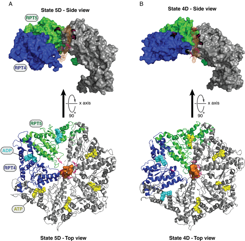 Figure 4.