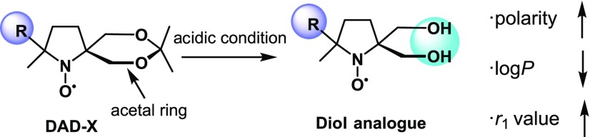 Scheme 5