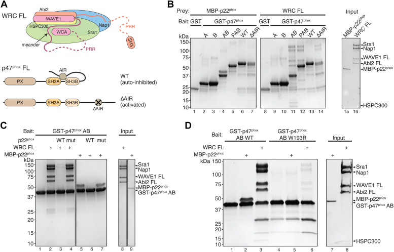 Figure 2