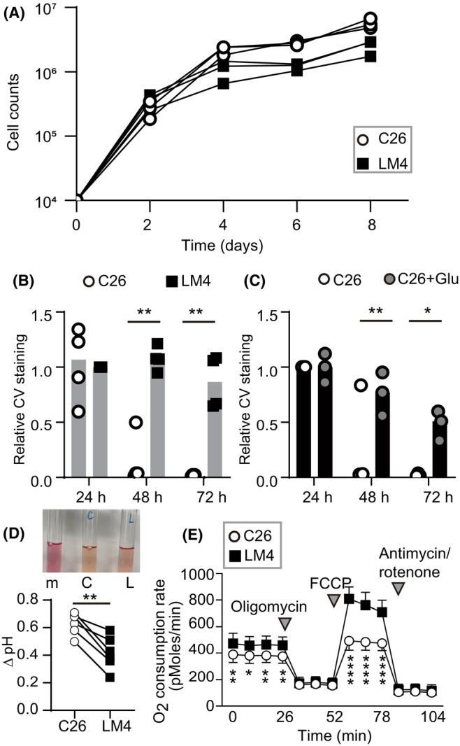 FIGURE 3