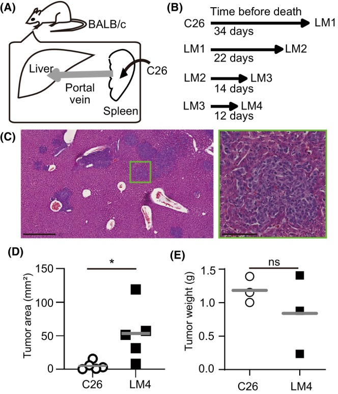 FIGURE 1