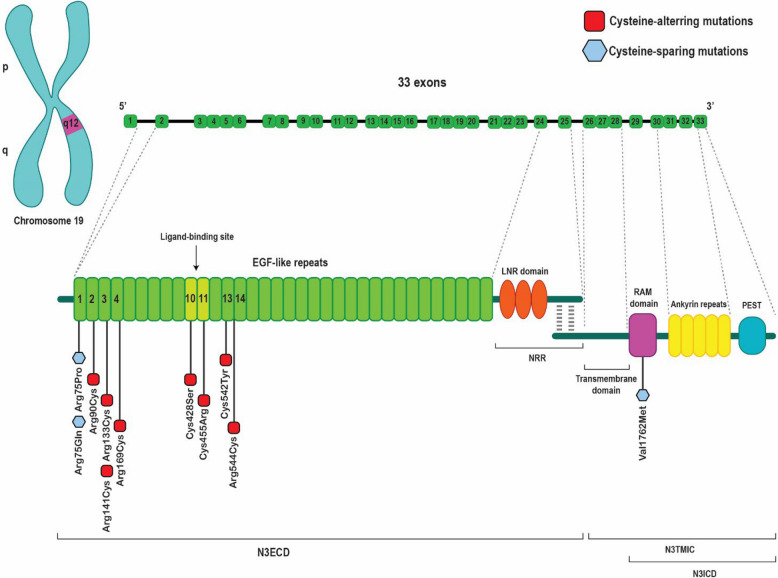 Fig. 3