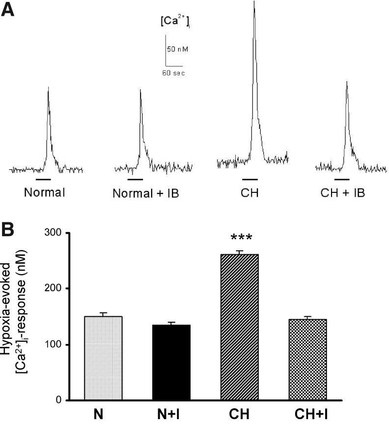 FIG. 1.