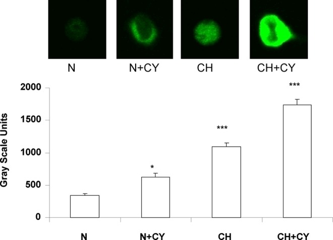 FIG. 4.