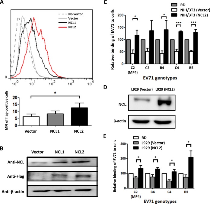 FIG 3