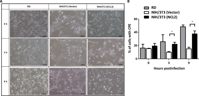 FIG 4