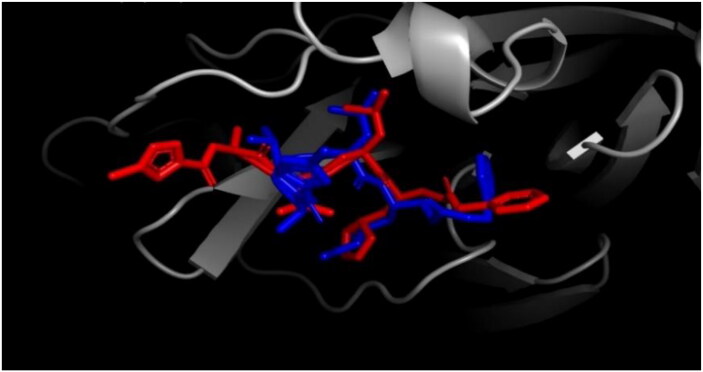 Figure 13.