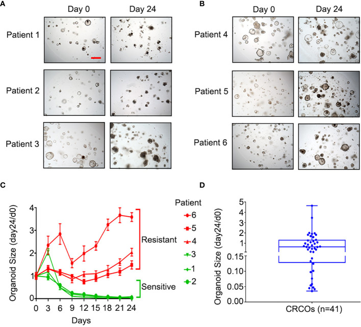 Figure 2