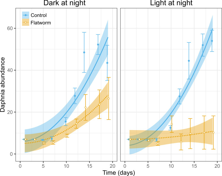 Daphnia abundance over time as a function of the presence or absence of predatory flatworms