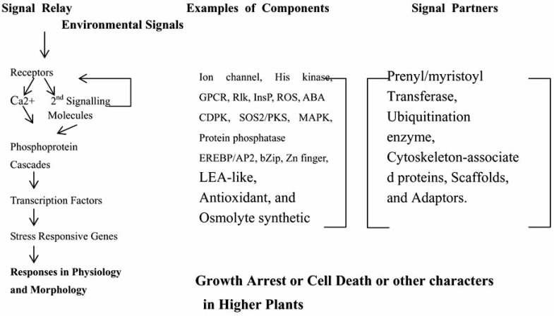 Fig. (1)