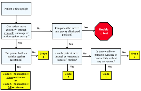 graphic file with name jove-50-2632-0.jpg