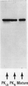173