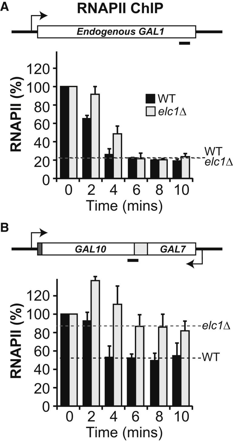 Figure 5