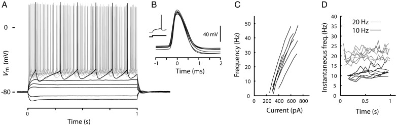 Figure 11.