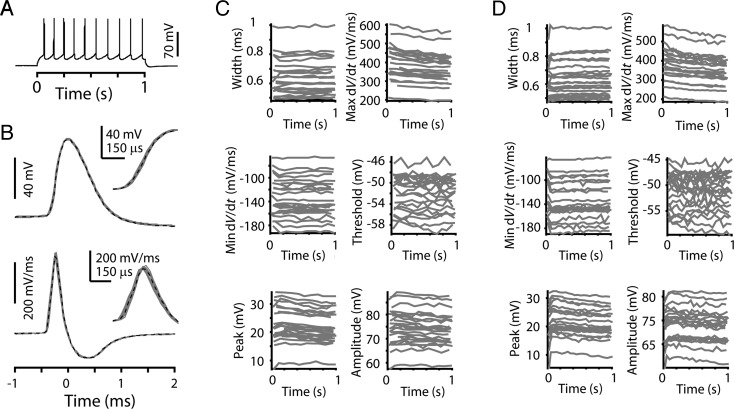 Figure 5.