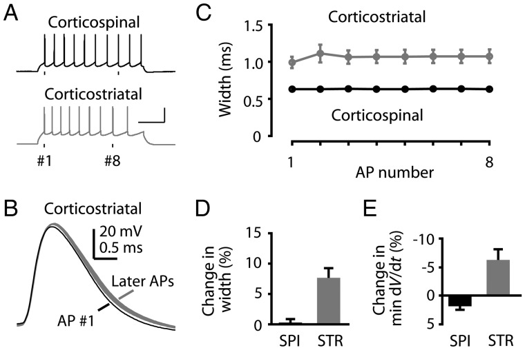 Figure 6.