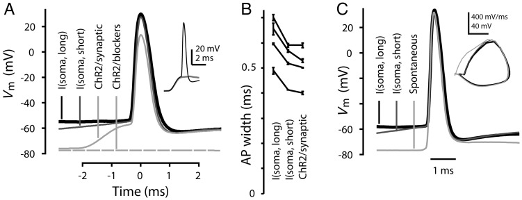 Figure 4.