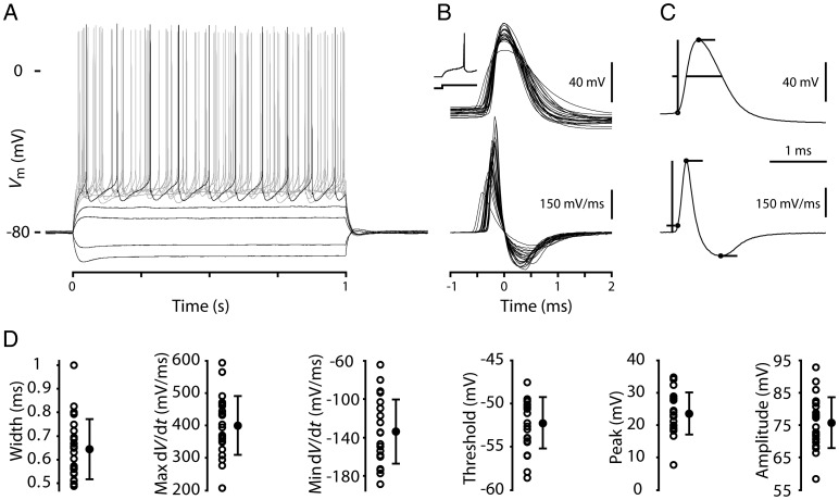 Figure 2.