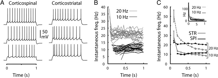 Figure 9.