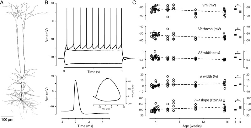 Figure 10.