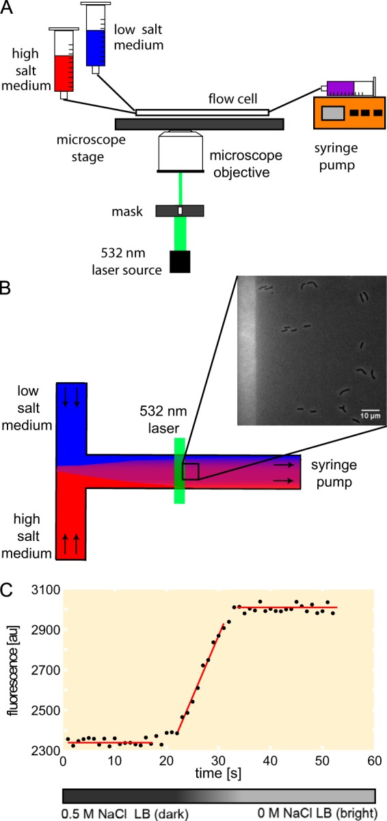 FIG 1