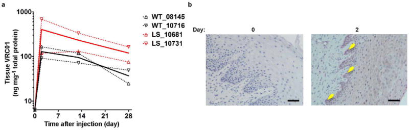 Extended Data Figure 6