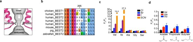 Figure 5.