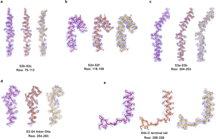 Figure 1—figure supplement 5.