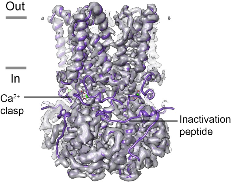 Figure 3—figure supplement 3.