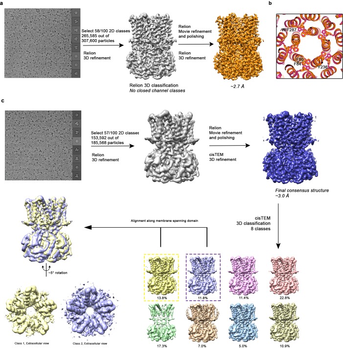 Figure 4—figure supplement 1.