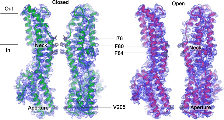 Figure 1—figure supplement 4.