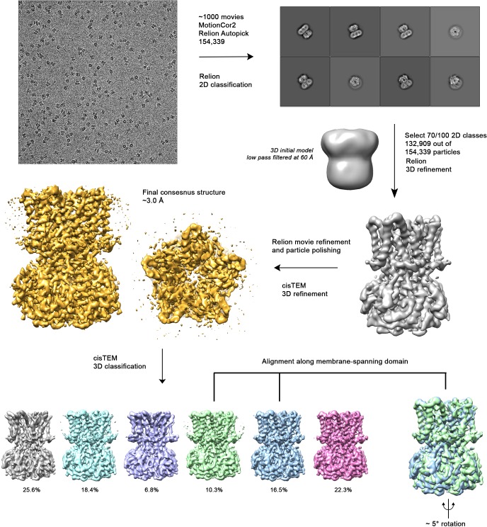 Figure 3—figure supplement 1.