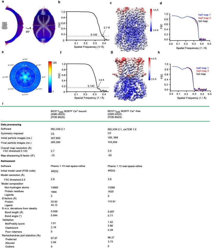 Figure 4—figure supplement 2.