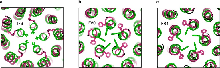 Figure 2—figure supplement 1.