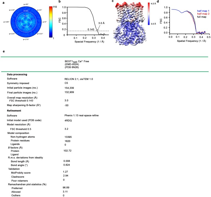 Figure 3—figure supplement 2.