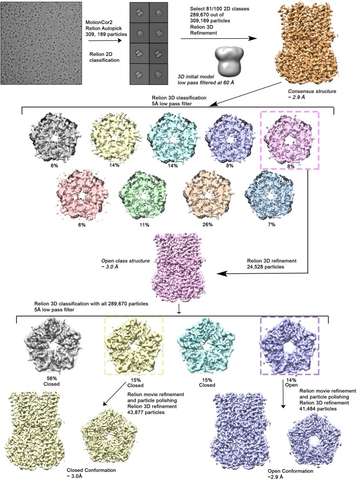 Figure 1—figure supplement 3.